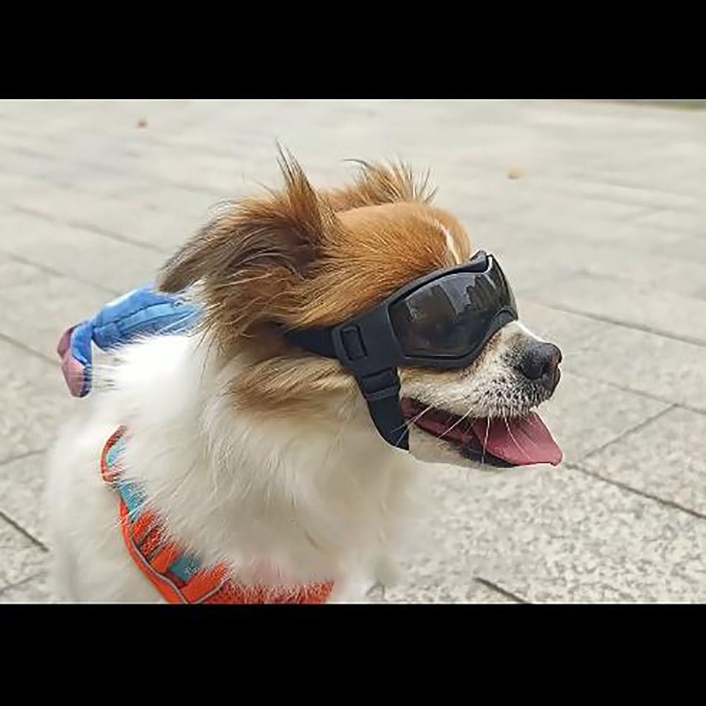 Silicon+PC+Nylon Pet Goggles A - Windsor Knot Tie 리뷰 및 가격